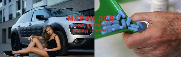 тгк Богданович
