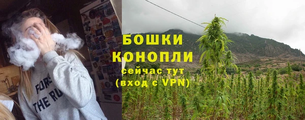 дмт Новозыбков