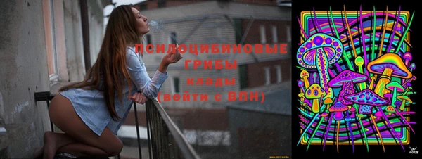 дмт Новозыбков