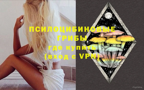 прущая мука Новодвинск